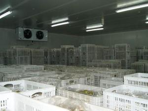 气调冷库